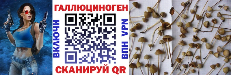 Псилоцибиновые грибы мухоморы  Артёмовск 